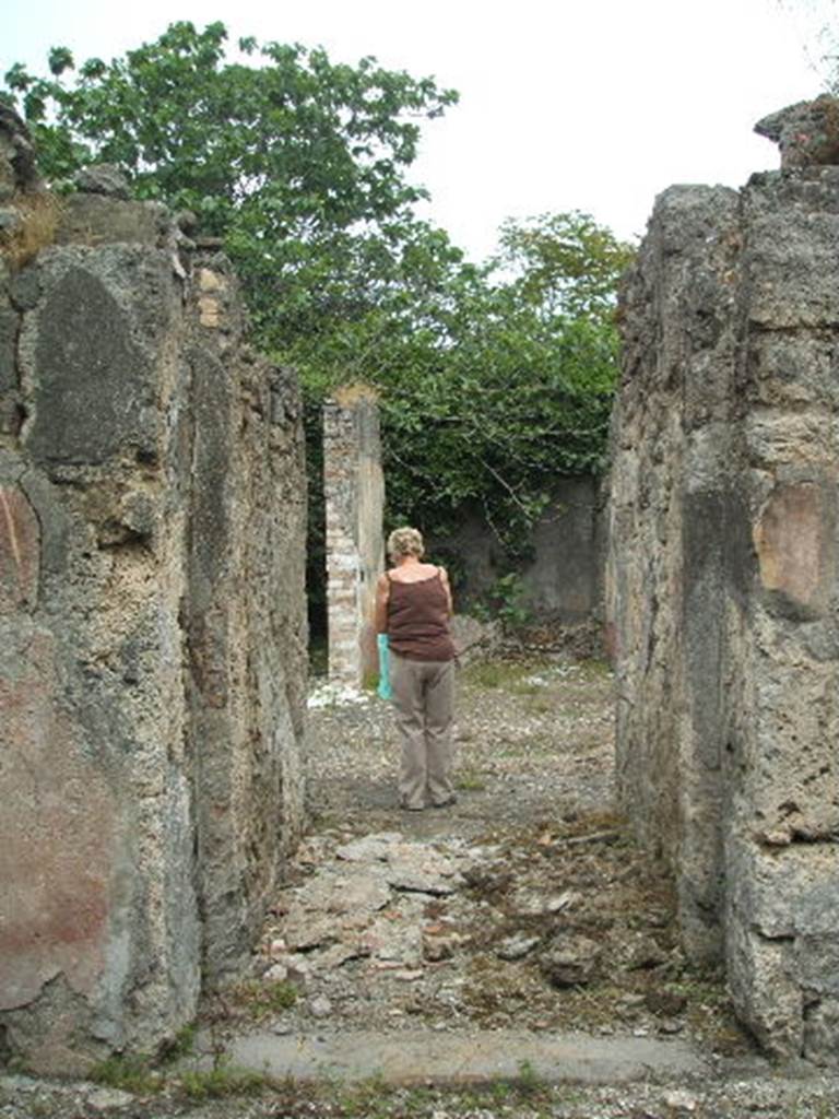 V.4.c Pompeii. May 2005. Entrance doorway, with remains of stucco fallen from wall. According to Sogliano, the threshold of the entrance doorway was made of lava. This had the usual groove for the doorposts and with hinges of iron, of which remains were seen to the left, and with holes for the door bolts. Immediately behind the doorpost, in both walls of the fauces or corridor (andron), could be seen two large vertical recesses. These recesses would have housed the four folding shutters when they were open, two shutters on each side. The entrance fauces or corridor (andron)  was decorated in red plaster, divided into panels. In the middle of each panel was a rectangular painting on a black background, with the representation of  birds of various types, leaning towards the earth and pecking. In three of the panels the bird was pecking at some fruit, but in the fourth (south, to the right), it was pecking a butterfly or other insect. The base of the corridor wall was black, and the floor was of opus signinum/cocciopesto. See Notizie degli Scavi, 1905, p.130
According to Peterse, a setback can be observed in both walls of the fauces, closest to the street. This indicates a demarcation of the entrance-way. This would have been between the vestibulum facing the street, and the fauces belonging to the house interior. See Peterse, K: in Dobbins, J. J. and Foss, P. W., 2008. The World of Pompeii. Oxford: Routledge. (p.378)