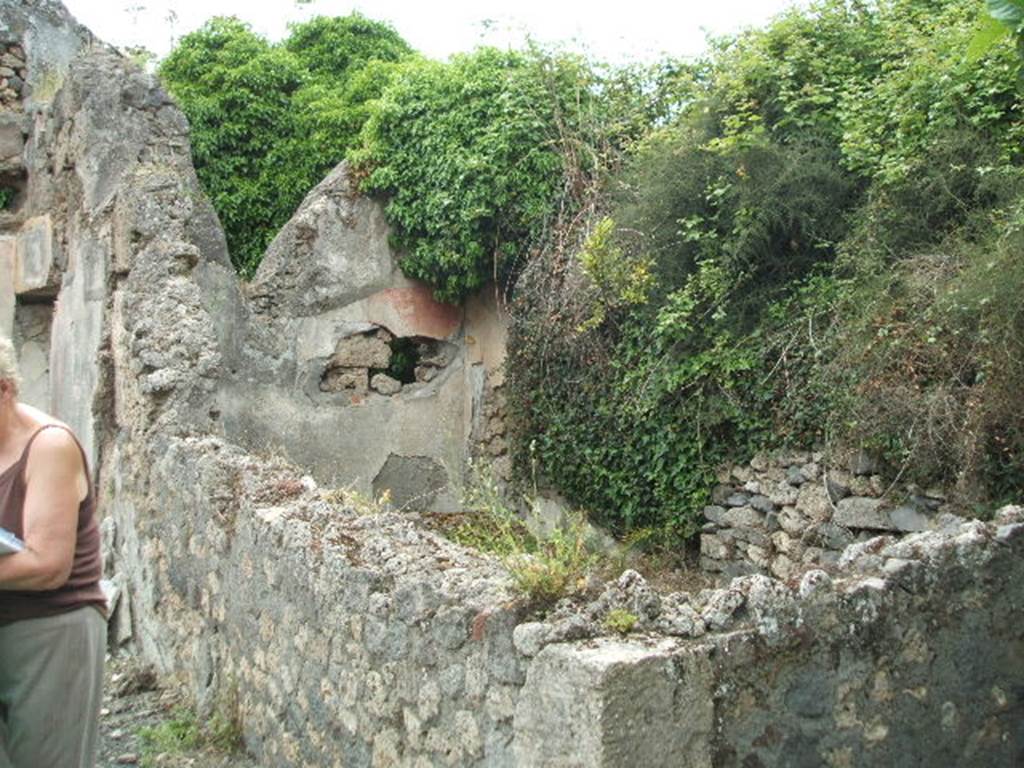 V.4.c Pompeii. May 2005. Room D, large triclinium, looking west from atrium. The west wall still shows some of the painted decoration, this would have had three painted panels. The centre panel was yellow, the sides red, separated by black bands.  The base of the wall was black decorated with plant motifs. The east wall was similar. The north and south walls were different with alternative black and red painted panels. However in the north wall towards the right, the remains of a yellow panel could be seen. The decoration thus changed in the eastern end of the room, as well as the design in the rectangle in the floor. This easily clarified this room as being a triclinium, with the couches being placed in the eastern end.
In the eastern side of the north wall, a hollow for a couch could have been seen. See Notizie degli Scavi, 1905, p.132.