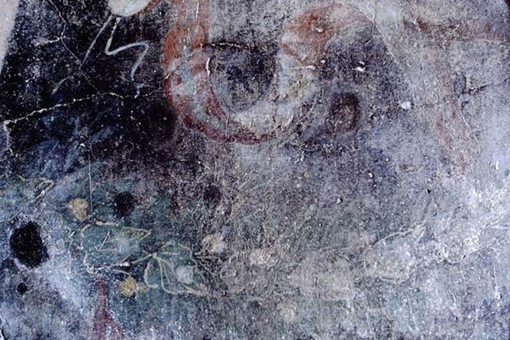 V.5.3 Pompeii. 1968. Room 6, detail of garland painting on south end of east wall of triclinium. Photo by Stanley A. Jashemski.
Source: The Wilhelmina and Stanley A. Jashemski archive in the University of Maryland Library, Special Collections (See collection page) and made available under the Creative Commons Attribution-Non Commercial License v.4. See Licence and use details.
J68f1549