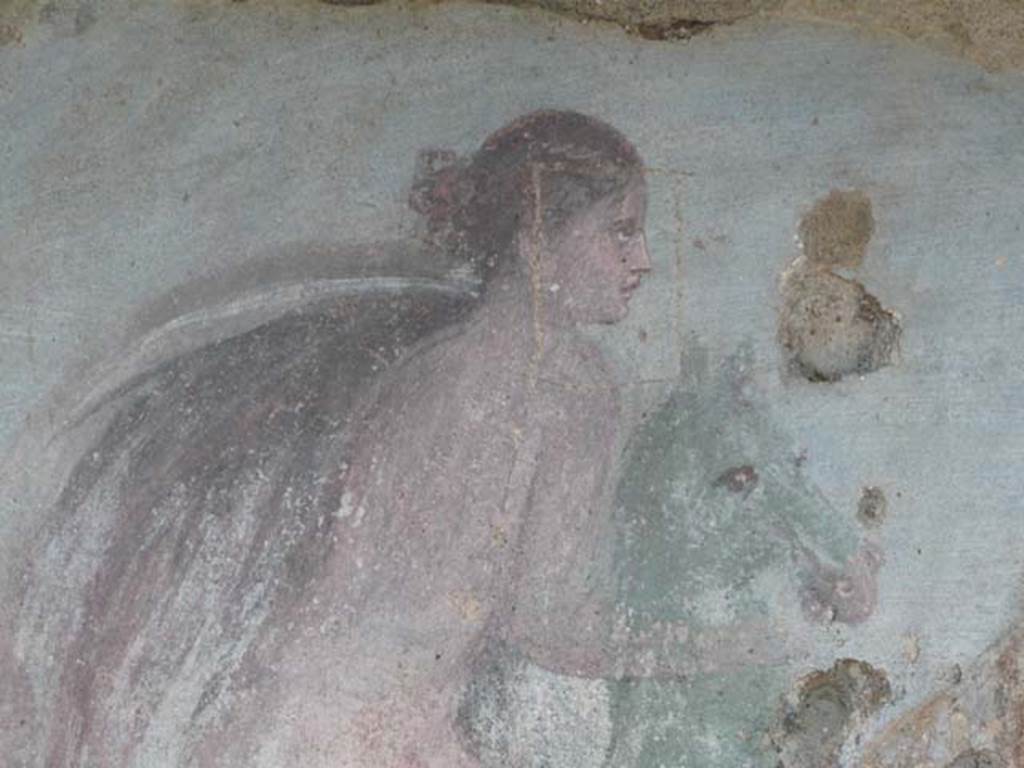 V.5.3 Pompeii. May 2012. Room 7, detail from Painting 2 in north-east corner of peristyle.  Photo courtesy of Buzz Ferebee.