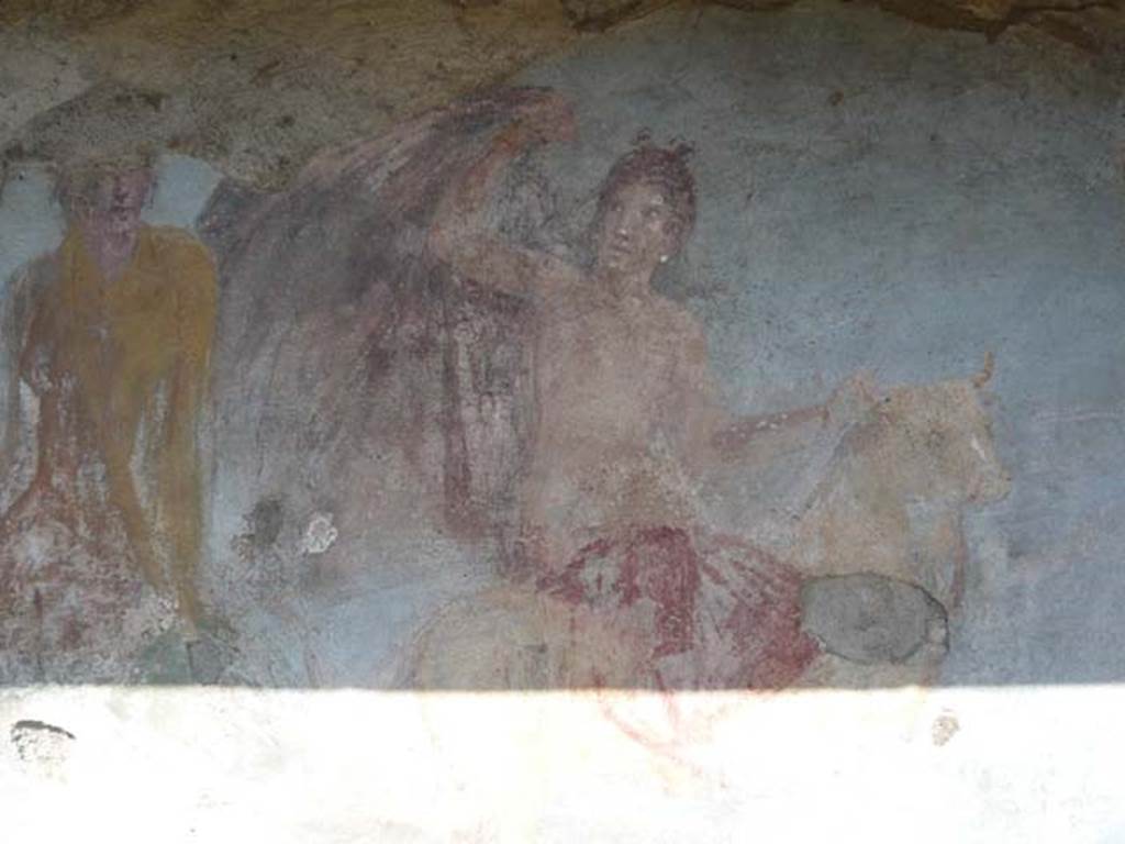 V.5.3 Pompeii. May 2012. Room 7, detail from Painting 2 in north-east corner of peristyle.  Photo courtesy of Buzz Ferebee.