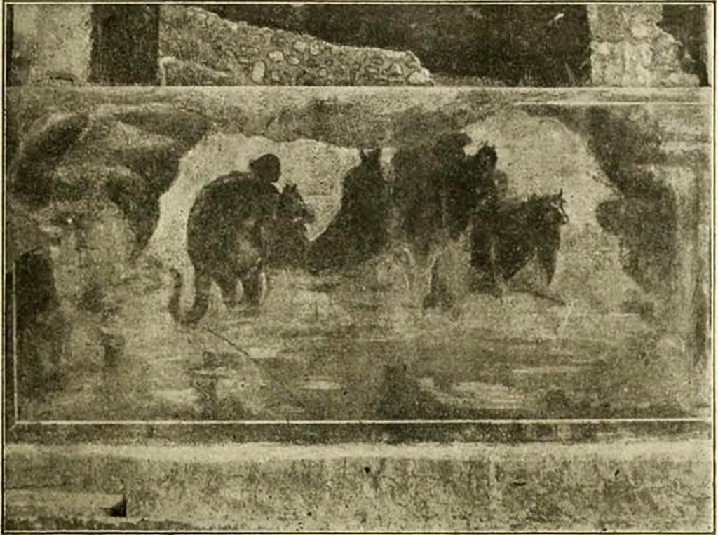 V.5.3 Pompeii. Wall painting of Europa on the Bull, from north-east corner of peristyle. 
See Notizie degli Scavi di Antichità, 1899, p.350-1, number 10, fig. 11.