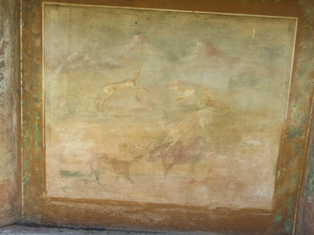 V.5.3 Pompeii. March 2009. Room 7, west side of peristyle in north-west corner. Painting 5 – Animal painting showing a boar being attacked by two dogs. One dog was attacking him from the front, the other leaping onto him from behind.  In the background, another dog was attacking a deer. See Notizie degli Scavi di Antichità, 1899, p.349, number 5.