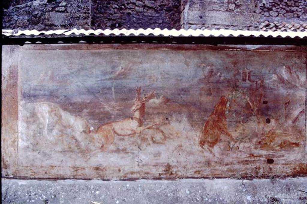 V.5.3 Pompeii. 1968. Room 7, peristyle. Painting 6. Photo by Stanley A. Jashemski.
Source: The Wilhelmina and Stanley A. Jashemski archive in the University of Maryland Library, Special Collections (See collection page) and made available under the Creative Commons Attribution-Non Commercial License v.4. See Licence and use details.
J68f1600
