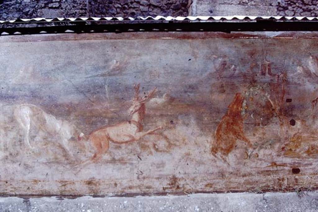 V.5.3 Pompeii. 1968. Room 7, peristyle, detail of Painting 6. Photo by Stanley A. Jashemski.
Source: The Wilhelmina and Stanley A. Jashemski archive in the University of Maryland Library, Special Collections (See collection page) and made available under the Creative Commons Attribution-Non Commercial License v.4. See Licence and use details.
J68f1603