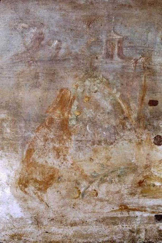 V.5.3 Pompeii. 1968. Room 7, peristyle. Painting 6, detail of bear eating fruit from tree.
Photo by Stanley A. Jashemski.
Source: The Wilhelmina and Stanley A. Jashemski archive in the University of Maryland Library, Special Collections (See collection page) and made available under the Creative Commons Attribution-Non Commercial License v.4. See Licence and use details.
J68f1542