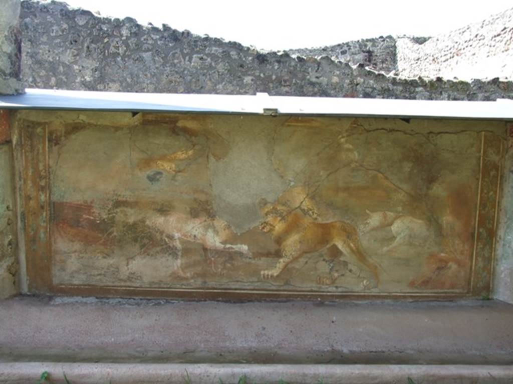 V.5.3 Pompeii. March 2009. Room 7, peristyle. Painting 8 - animal painting showing lion with two dogs, from south end of west side of peristyle.  One dog is attacking the lion from the front, the other biting its tail from behind.
In the background, a deer being pursued by a dog. See Not. Scavi, 1899, p.349, number 2.