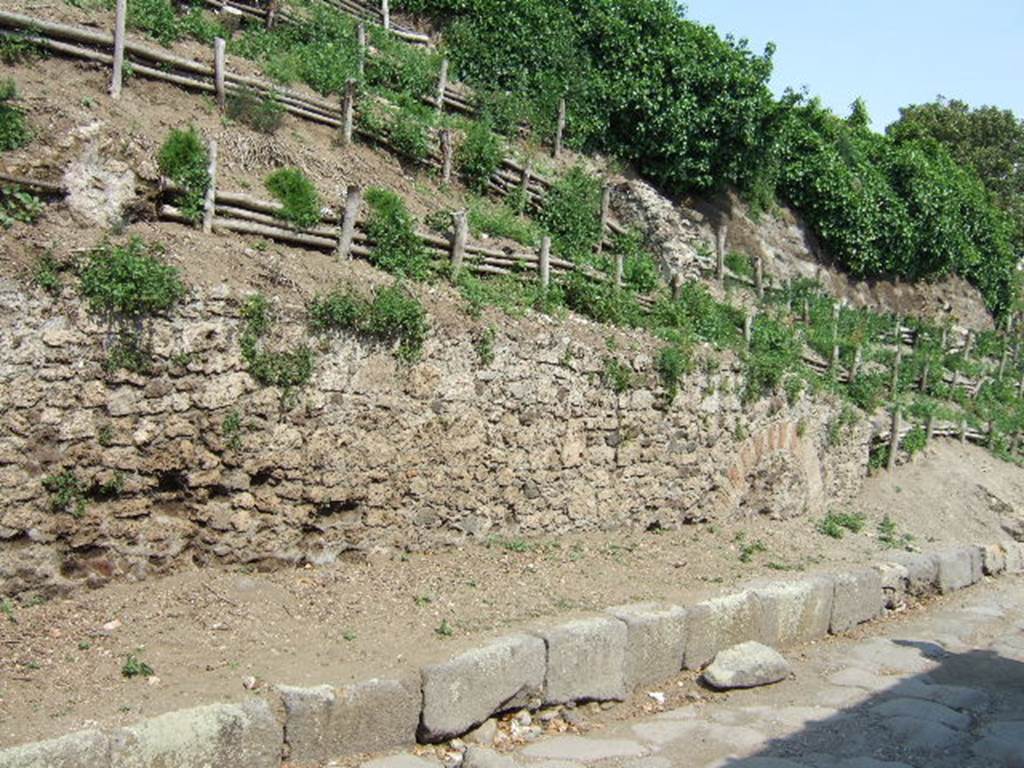 V.6.7 Pompeii. May 2006. Unexcavated façade at south end on east side of Via del Vesuvio, with V.6.6, on right.
The upper part of the unexcavated rear of the fountain / nymphaeum can be seen above the boundary wall, on the left.