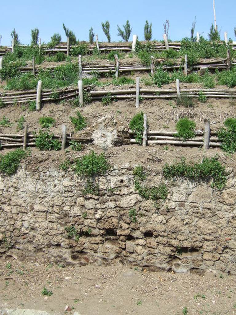V.6.7 Pompeii. May 2006. Unexcavated façade.
The upper part of the rear of the unexcavated fountain / nymphaeum can be seen above the boundary wall, in the centre.