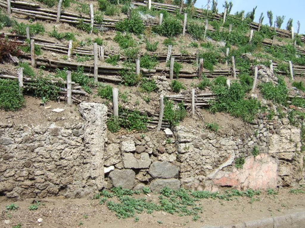 V.6.8 Pompeii. May 2006. 
Unexcavated entrance leading to entrance fauces/corridor, with remains of painted plaster, on right.