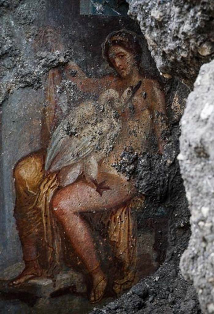 V.6.12 Pompeii. November 2018. Amb. 9. Cubiculum. Painting of Leda and the Swan (Zeus). 
The scene - full of sensuality - depicts the union of Jupiter, transformed into a swan, and Leda, wife of King Tyndareus. 
From her embraces, first with Jupiter and then Tyndareus, would be born the twins Castor and Pollux from an egg (the Dioscuri), Helen - the future wife of King Menelaus of Sparta and cause of the Trojan War - and Clytemnestra, later bride (and assassin) of King Agamemnon of Argos and brother to Menelaus.
La scena piena di sensualità rappresenta il congiungimento tra Giove, trasformatosi in cigno, e Leda, moglie di Tindaro re di Sparta. Dal doppio amplesso, prima con Giove e poi con Tindaro, nasceranno, fuoriuscendo da uova, i gemelli Castore e Polluce (i Dioscuri), Elena - futura moglie di Menelao re di Sparta e causa della guerra di Troia – e Clitennestra, poi sposa (e assassina) di Agamennone re di Argo e fratello di Menelao.
Detail from Photograph © Parco Archeologico di Pompei.
See Parco Archeologico di Pompeii web site