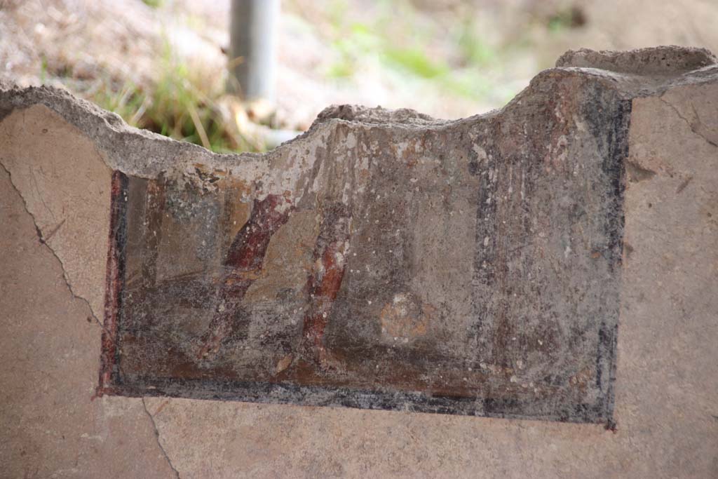 V.6.12 Pompeii. October 2020. Amb. 9. Remains of central wall painting from south wall of cubiculum. Photo courtesy of Klaus Heese.