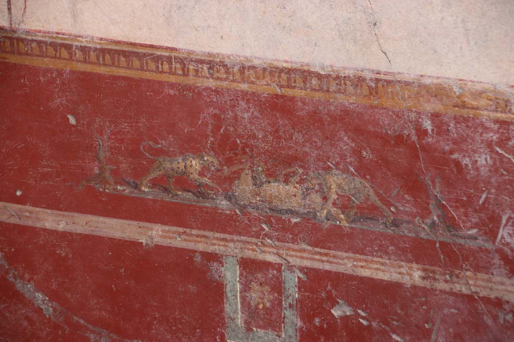 V.6.12 Pompeii. October 2020. Amb. 9. Painting of animal fight from predella in centre of red zoccolo/dado on south wall of cubiculum. 
Photo courtesy of Klaus Heese.