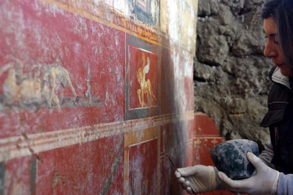 V.6.12 Pompeii. February 2019. Amb. 9. Lower wall of cubiculum with griffin with cornucopias and scene of animals in combat. 
Parete inferiore di cubiculum con delicati ornamenti floreali, intervallati da grifoni con cornucopie, nature morte e scene di lotte tra animali.
Photograph © Parco Archeologico di Pompei.