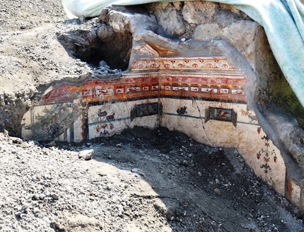 V.6.12 Pompeii. November 2018. Amb. 9. Cubiculum. Upper corner during excavation showing part of the ceiling. 
The exquisite designs even extended to the ceiling, which completely collapsed under the weight of the lapilli, and whose fragments were recovered by restorers and used to reconstruct the story.
Cubiculum. Angolo superiore durante lo scavo che mostra parte del soffitto.
I disegni squisiti anche esteso al soffitto, rovinosamente crollato sotto il peso dei lapilli, i cui frammenti sono stati recuperati dai restauratori per ricomporne la trama.
Photograph © Parco Archeologico di Pompei.