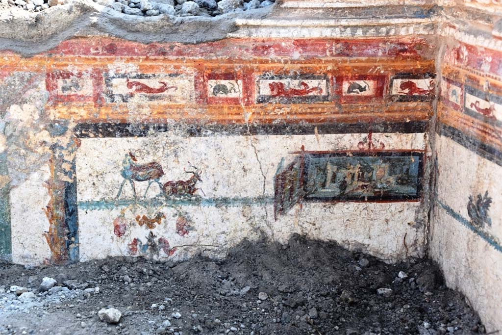 V.6.12 Pompeii. November 2018. Amb. 9. Cubiculum. Upper wall during excavation. 
The upper border is decorated with small red and orange panels with sea creatures
Underneath are goats or deer and a small panel painted with a sacred landscape.
Cubiculum. Parete superiore durante gli scavi.
Il bordo superiore è decorato con piccoli pannelli rossi e arancioni con creature marine
Sotto ci sono capre o cervi e una piccola scena dipinta con un paesaggio sacro.
Photograph © Parco Archeologico di Pompei.