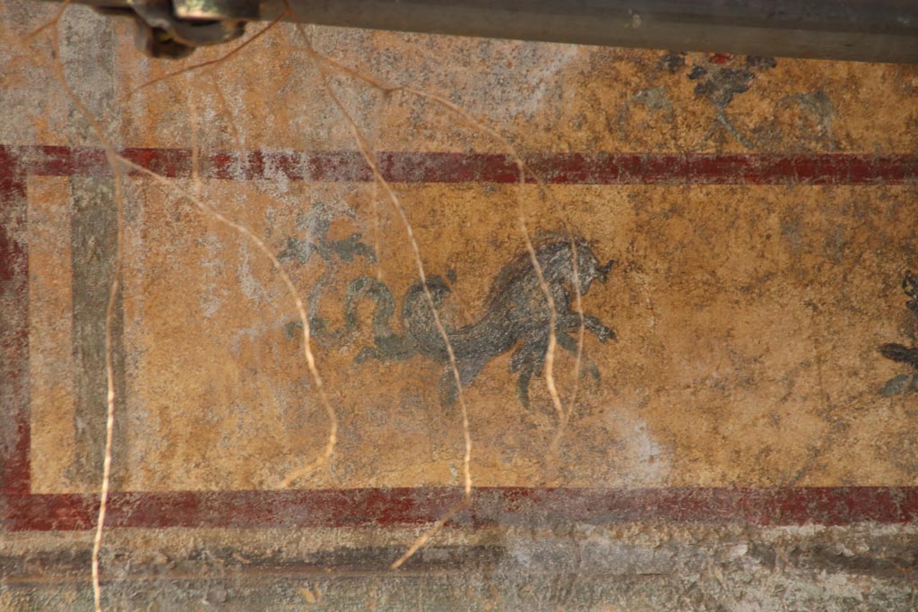 V.6.12 Pompeii, October 2022. North wall, detail of marine creature at west end of panel. Photo courtesy of Klaus Heese.
