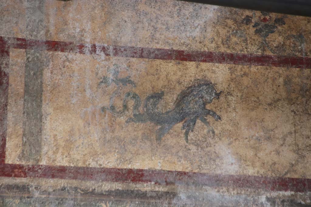 V.6.13 Pompeii, October 2020. North wall, detail of marine creature at west end of panel. Photo courtesy of Klaus Heese.