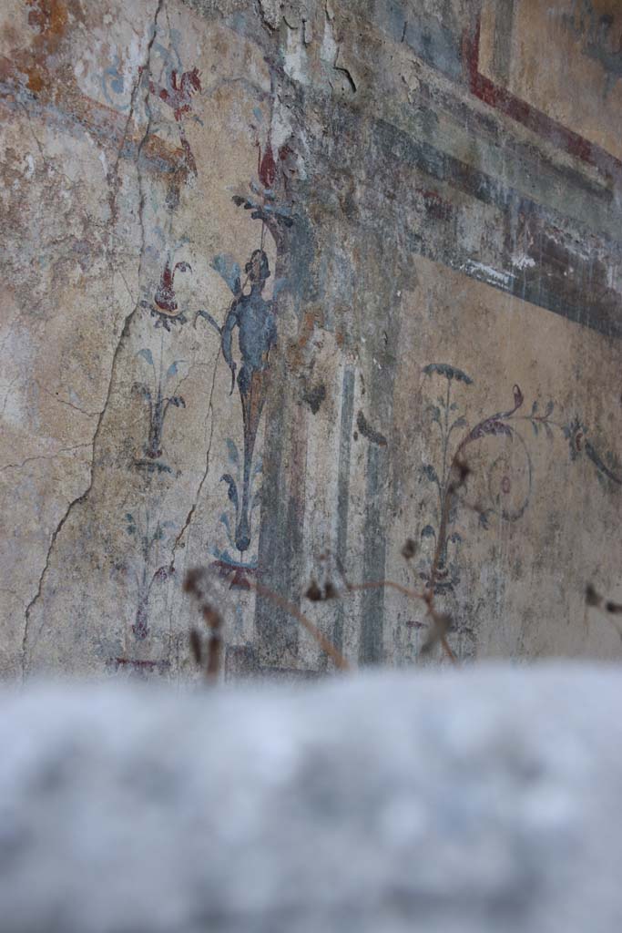 V.6.12 Pompeii, September 2021. 
Detail of painted decoration at west end of centre of north wall. Photo courtesy of Klaus Heese.