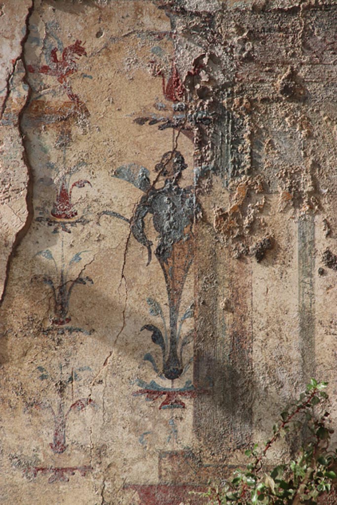 V.6.12 Pompeii, October 2022.  
Detail of painted decoration at west end of centre of north wall. Photo courtesy of Klaus Heese.