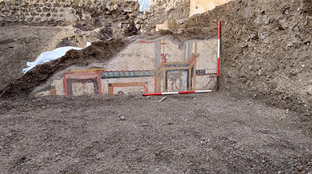 V.6.12 Pompeii, December 2023. Amb. 35, tablinum.
Behind the atrium (room 25), three rooms (35; 44; 45) and a corridor space (44) have emerged. 
From the atrium one could access the corridor and room 35 which probably represented a tablinum. 
The visible decorative scheme is limited to the upper area and the top part of the middle area. Faux architectures are represented, such as aedicules surmounted by winged griffins and blue pergolas, in turn delimited by red banded squares on a white background. Inside, amphorae framed by garlands. Painted pinakes are placed near the middle register. Between the aedicules there are squares with stylised and monochromatic animal figures
Vedi/See E-Journal 09: 21.12.23, Scavo e restauro della Casa di Leda – Regio V, 6. Nuovi rinvenimenti, p. 4, Fig. 7-8.
Photograph © Parco Archeologico di Pompei.