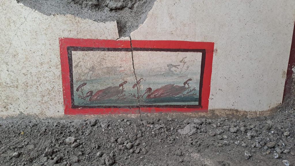 V.6.13 Pompeii. December 2023. Ambiente 42-43. East wall, south end. Panel with painting of ducks.
Photograph © Parco Archeologico di Pompei.