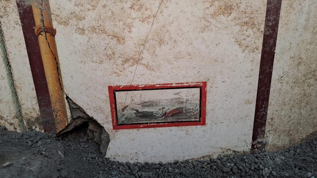 V.6.13 Pompeii. December 2023. Ambiente 42-43. Panel with painting of ducks.
Photograph © Parco Archeologico di Pompei.