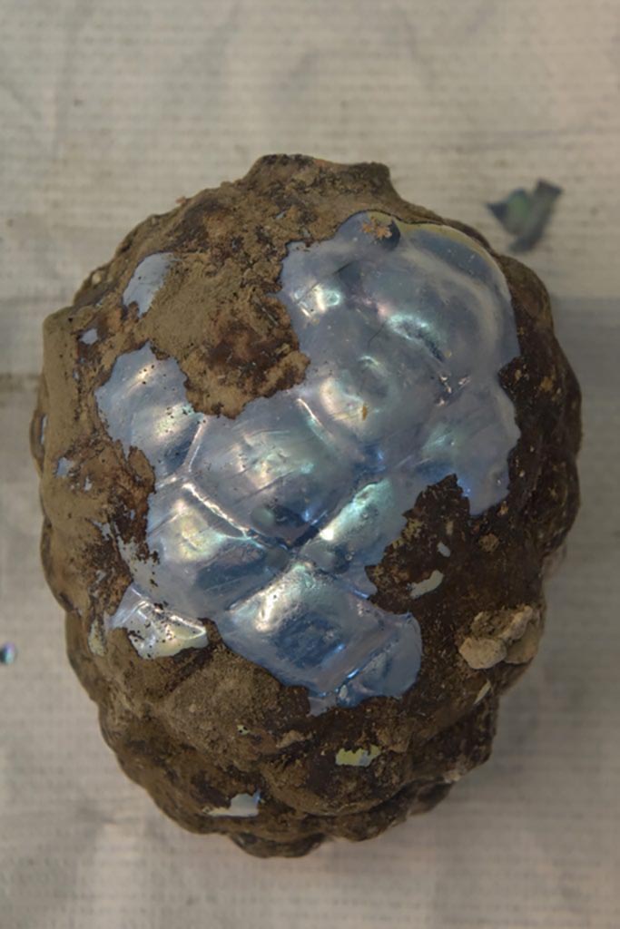 V.6.13 Pompeii. December 2023.
Amb. 42-43 pigna in vetro.
Amb. 42-43 glass pine cone.
Vedi/See E-Journal 09: 22.12.23, Scavo e restauro della Casa di Leda – Regio V, 6. Nuovi rinvenimenti, p. 5-6.
Photograph © Parco Archeologico di Pompei.