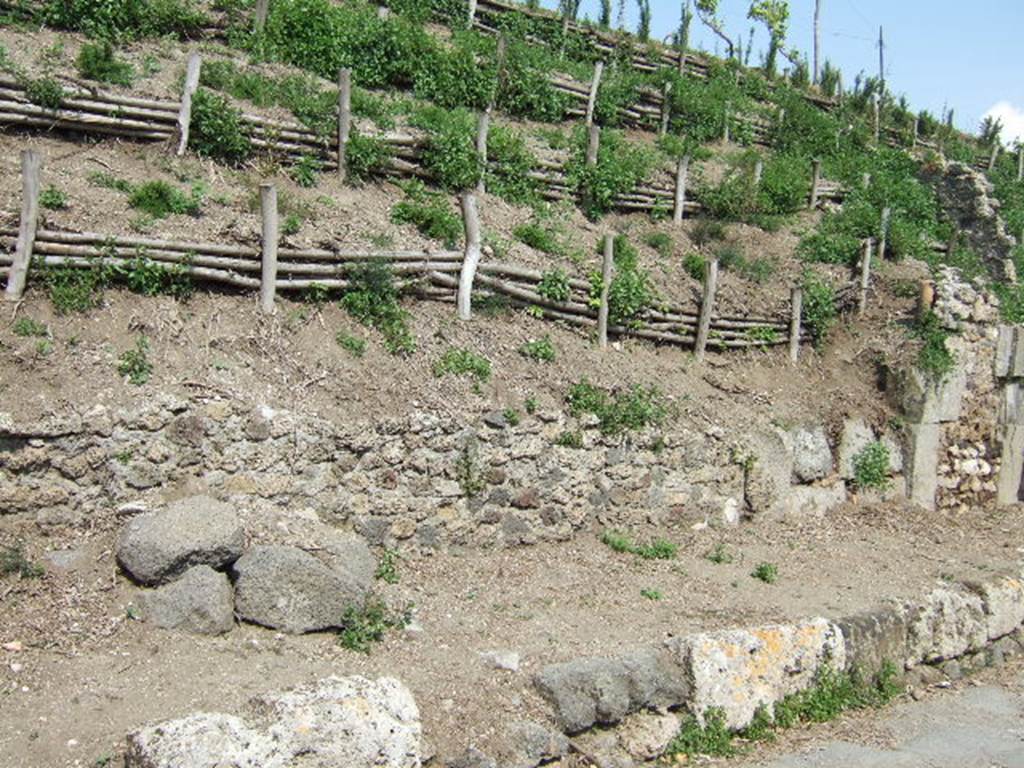 V.6.15 Pompeii. May 2006. Facade on Via del Vesuvio, looking south-east, with V.6.14, on right.