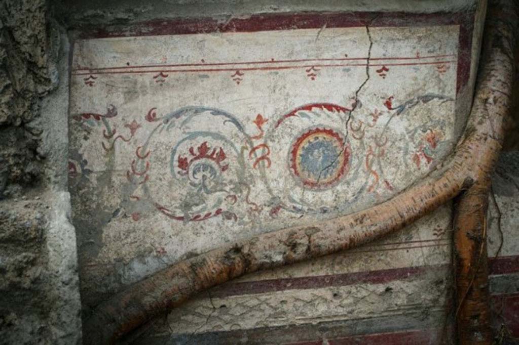 V.7.1 Pompeii. April 2018. Western room, west wall, decorated with spiral girali designs.
Photograph © Parco Archeologico di Pompei.
