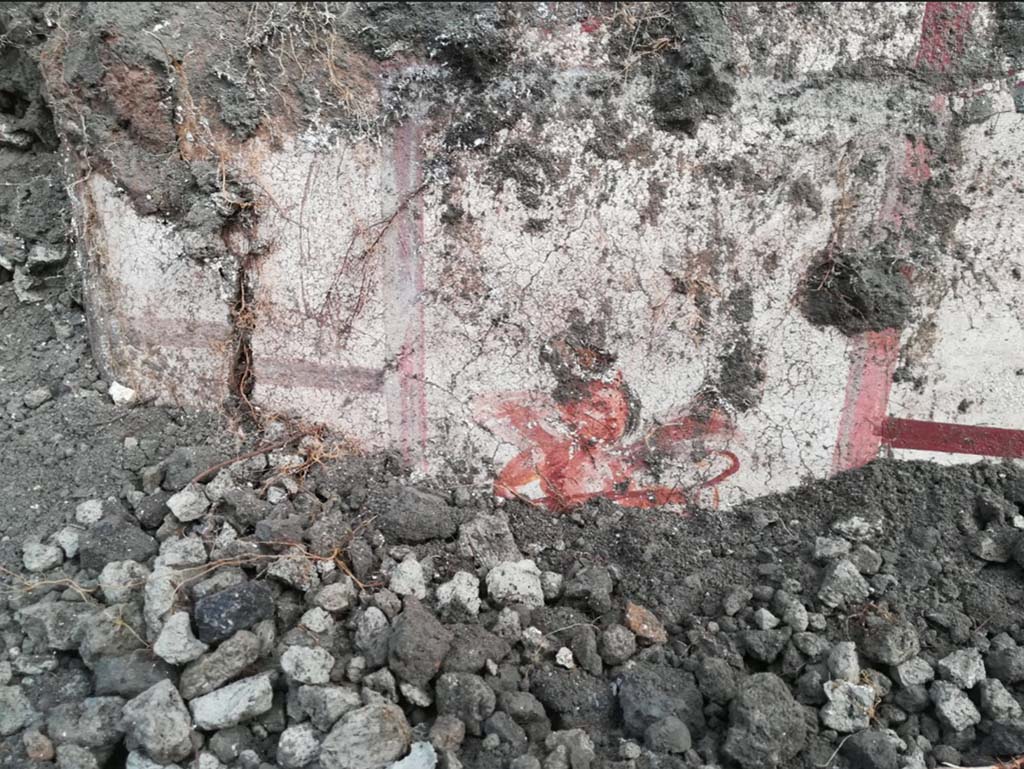 V.7.1 Pompeii. April 2018. Room with cupids, north wall under excavation.
Photograph © Parco Archeologico di Pompei.
