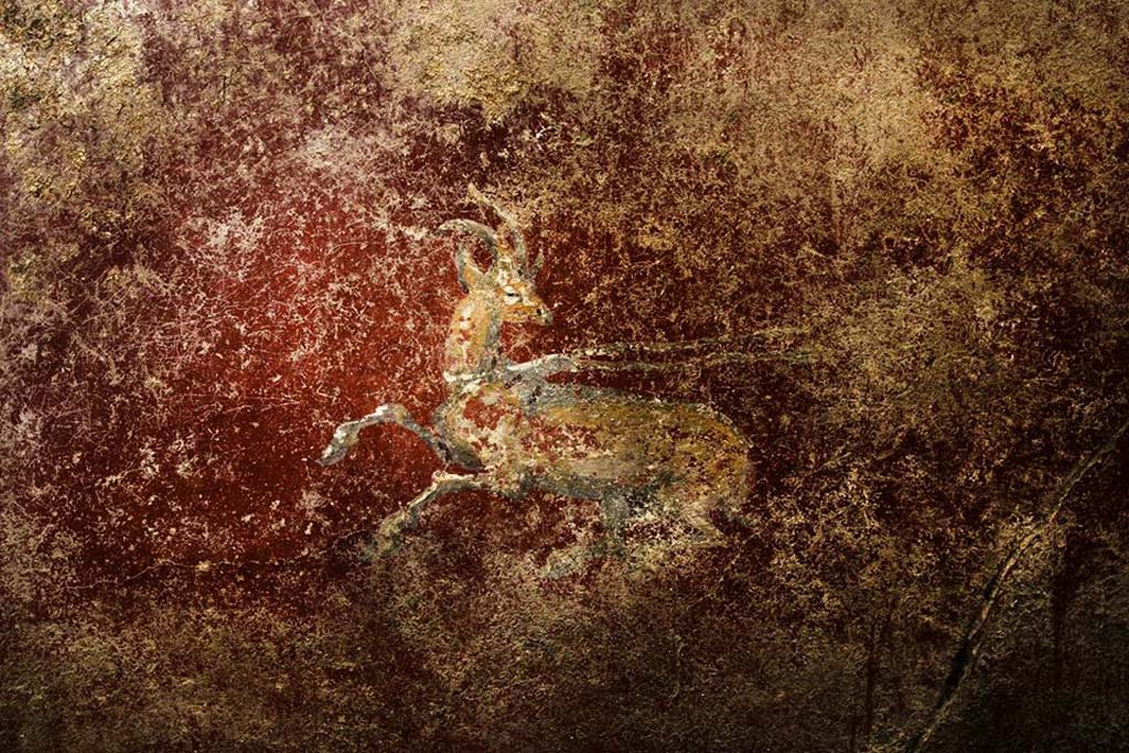 V.7.7 Pompeii. 2018. West wall of fauces, painted deer.
Photograph © Parco Archeologico di Pompei.