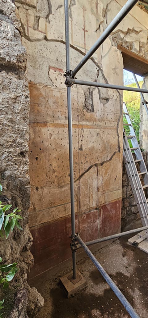 V.7.7 Pompeii. December 2023. 
Detail from north wall on west side of doorway. Photo courtesy of Miriam Colomer.
