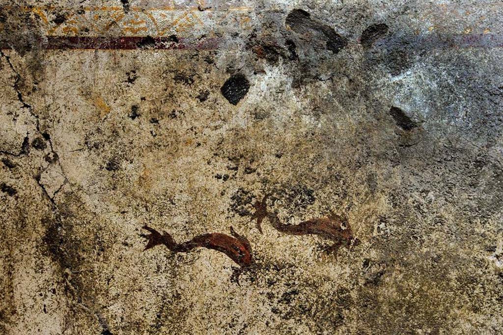 V.7.7 Pompeii. 2018. Room to the west of the entrance. East wall, north end, with painting of two dolphins.
Photograph © Parco Archeologico di Pompei.