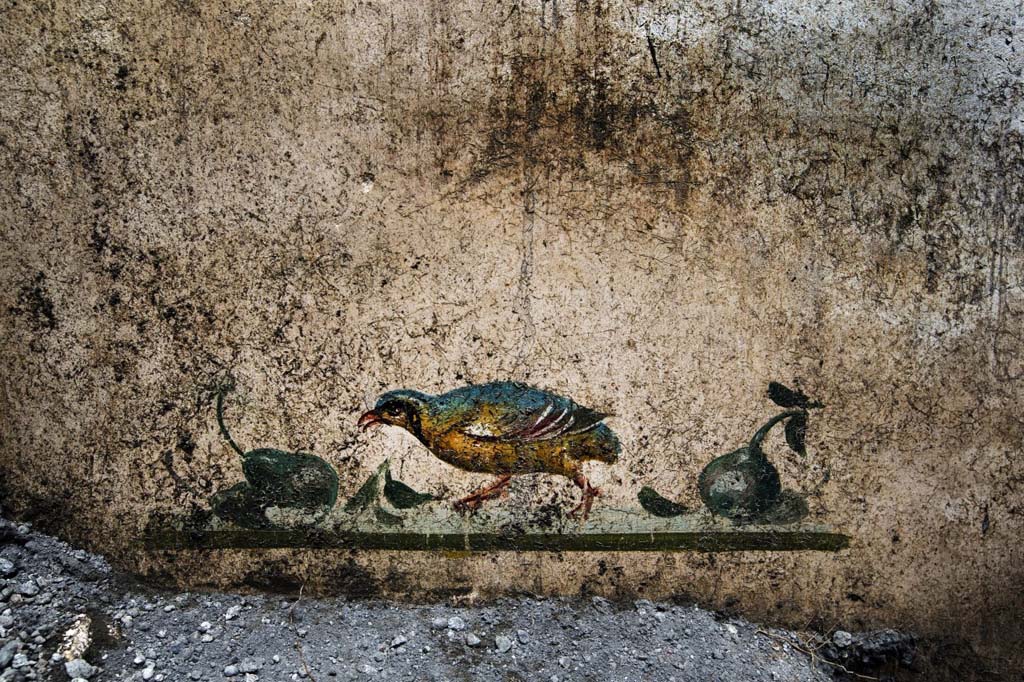 V.7.7 Pompeii. 2018. Room to the west of the entrance. East wall, centre, with painting of bird and fruit.
Photograph © Parco Archeologico di Pompei.