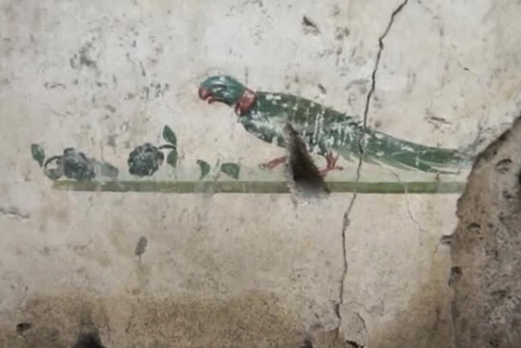 V.7.7 Pompeii. 2018. Room to the west of the entrance. South wall. Painting of a parrot with fruit.
Photograph © Parco Archeologico di Pompei.