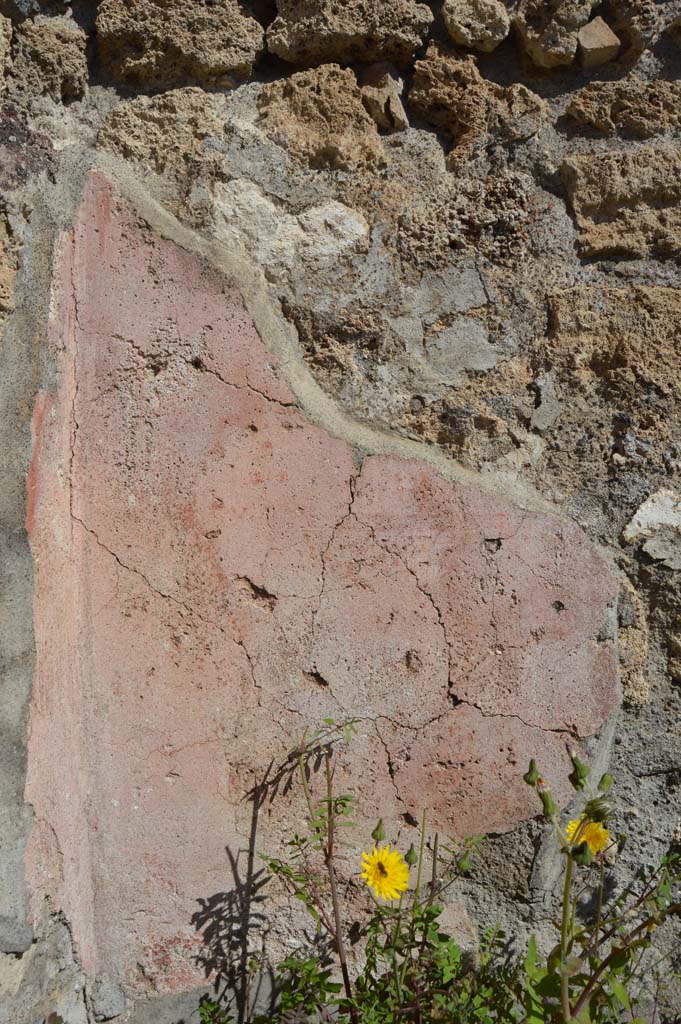 VI.1.5 Pompeii. March 2019. 
Looking east to west exterior wall, with detail of remaining plaster/stucco.
Foto Taylor Lauritsen, ERC Grant 681269 DÉCOR.