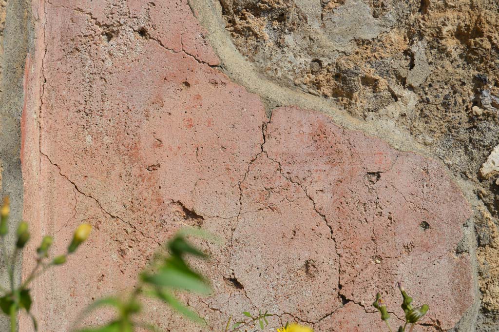 VI.1.5 Pompeii. March 2019. Detail from west exterior wall, on north side of entrance doorway.
Foto Taylor Lauritsen, ERC Grant 681269 DÉCOR.