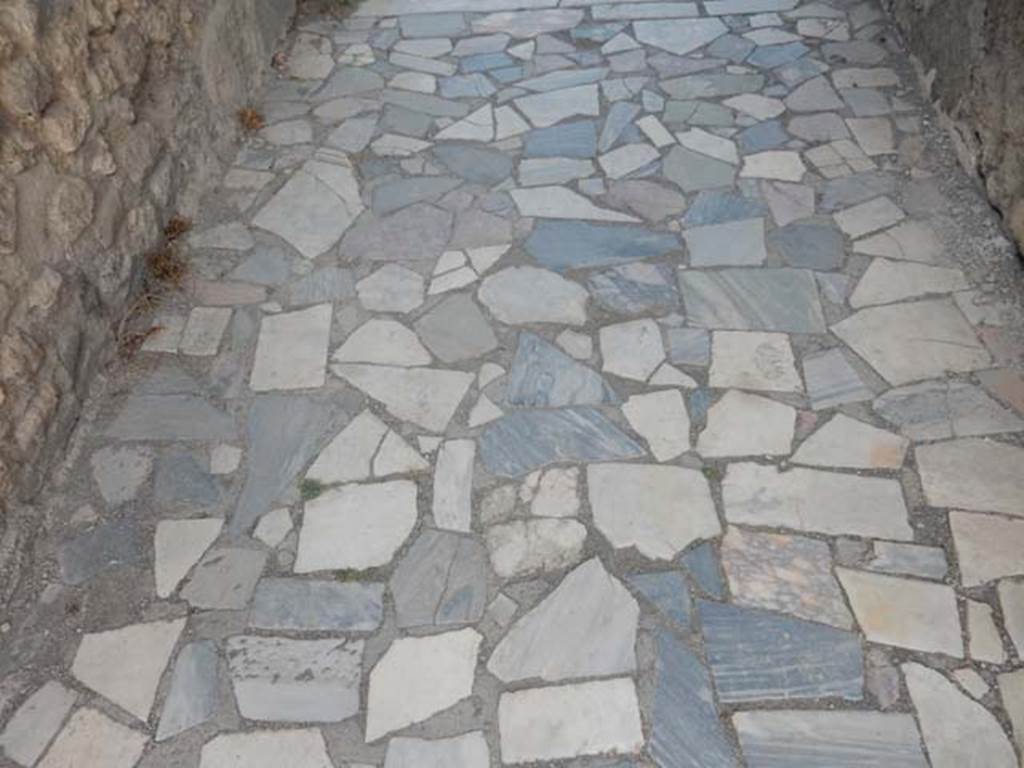 VI.1.7 Pompeii. May 2017. Flooring in entrance corridor formed from slabs of polychrome marble.  Photo courtesy of Buzz Ferebee.