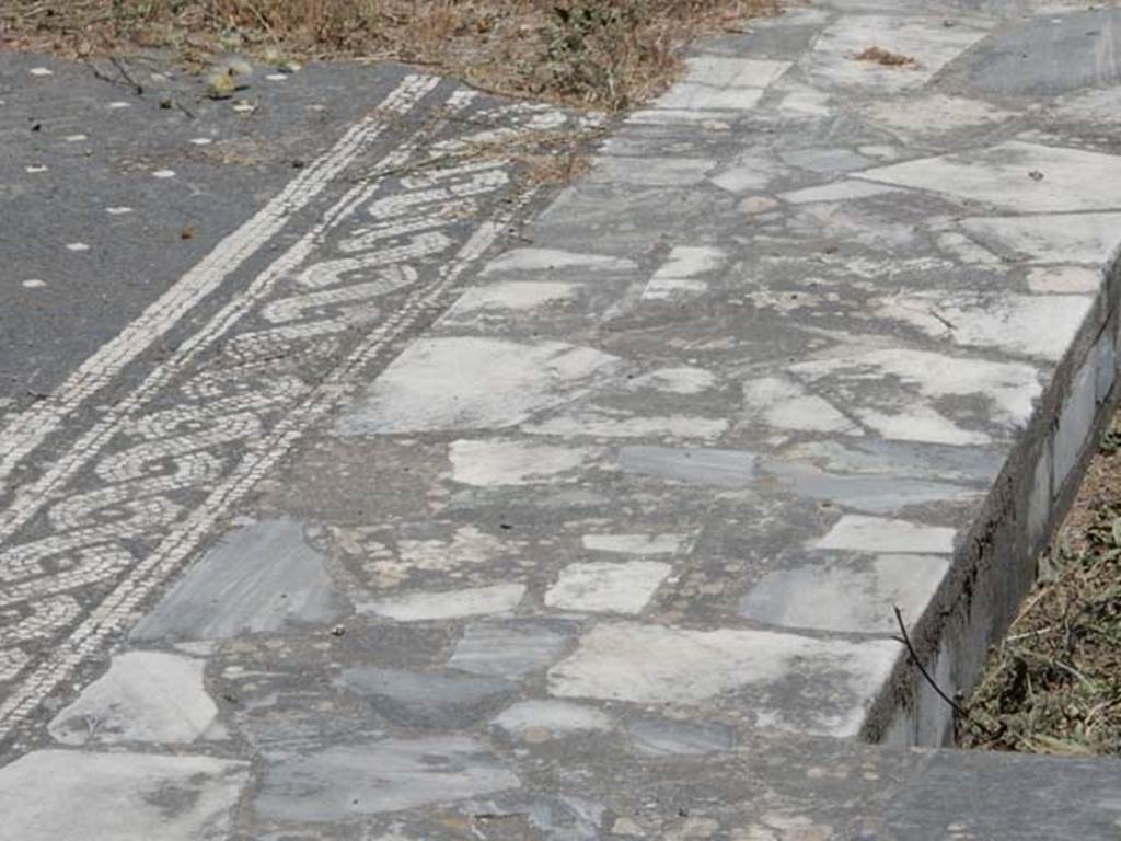 VI.1.7 Pompeii. May 2017. Detail of north side of impluvium in atrium. Photo courtesy of Buzz Ferebee.