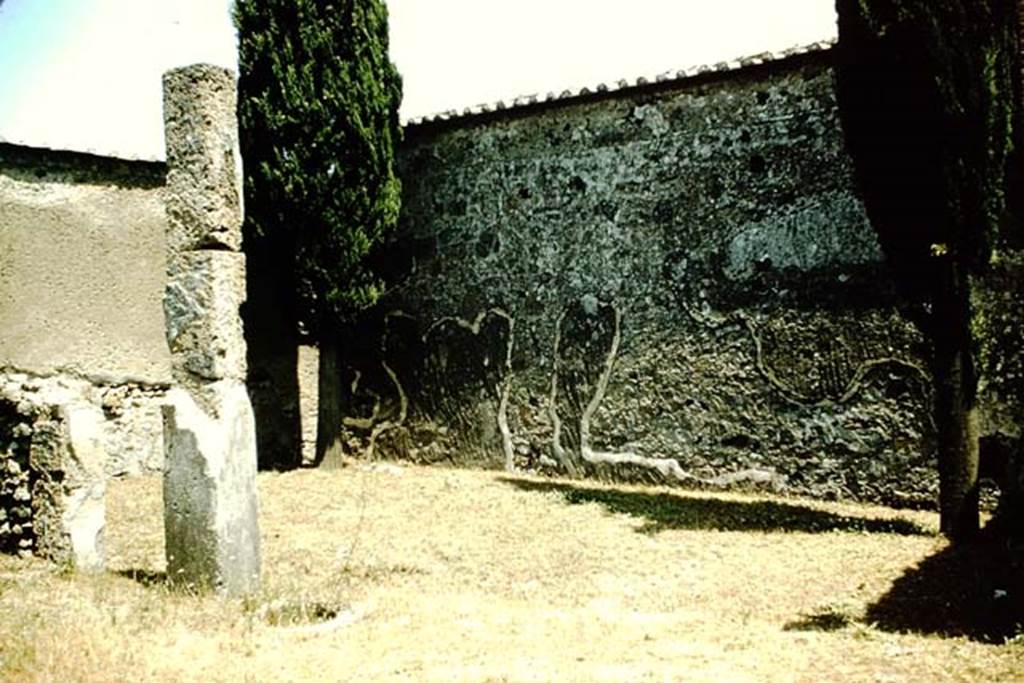 VI.1.10 Pompeii. 1957. Looking towards east wall of garden area.  Photo by Stanley A. Jashemski.
Source: The Wilhelmina and Stanley A. Jashemski archive in the University of Maryland Library, Special Collections (See collection page) and made available under the Creative Commons Attribution-Non Commercial License v.4. See Licence and use details.
J57f0164
