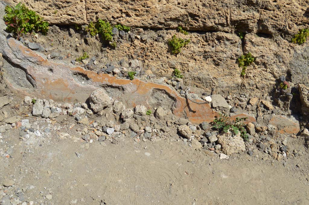 VI.1.10 Pompeii. March 2019. Detail from lower front façade wall near entrance doorway.
Foto Taylor Lauritsen, ERC Grant 681269 DÉCOR.
