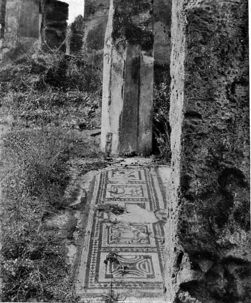 VI.1.10 Pompeii. c.1930. Looking west across threshold of north ala.
See Blake, M., (1930). The pavements of the Roman Buildings of the Republic and Early Empire. Rome, MAAR, 8, (p.107,120, & Pl. 28, tav.3).
