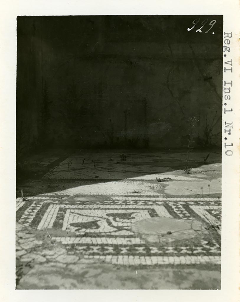VI.1.10 Pompeii. Pre-1937-39. Room 4, looking north towards detail from mosaic floor in ala on north side of atrium.  
Photo courtesy of American Academy in Rome, Photographic Archive. Warsher collection no. 929.