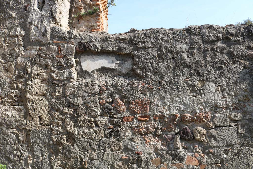 VI.1.12 Pompeii. December 2018. South wall of rear room, detail. Photo courtesy of Aude Durand.