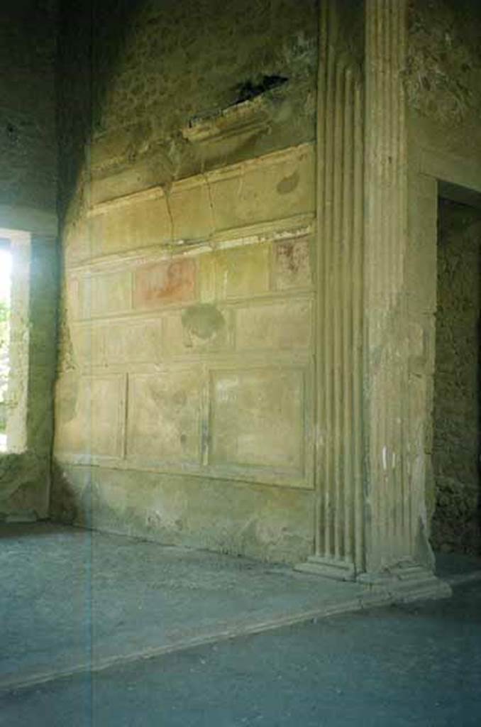 VI.2.4 Pompeii. June 2010. South wall of tablinum. Next to it can be seen the entrance to the corridor leading to the portico. Photo courtesy of Rick Bauer.