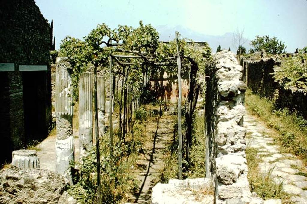 VI.2.4 Pompeii. 1957. Looking north to Vesuvius, columns along peristyle, with roadway Vicolo di Modesto, on right. Photo by Stanley A. Jashemski.
Source: The Wilhelmina and Stanley A. Jashemski archive in the University of Maryland Library, Special Collections (See collection page) and made available under the Creative Commons Attribution-Non Commercial License v.4. See Licence and use details.
J57f0162