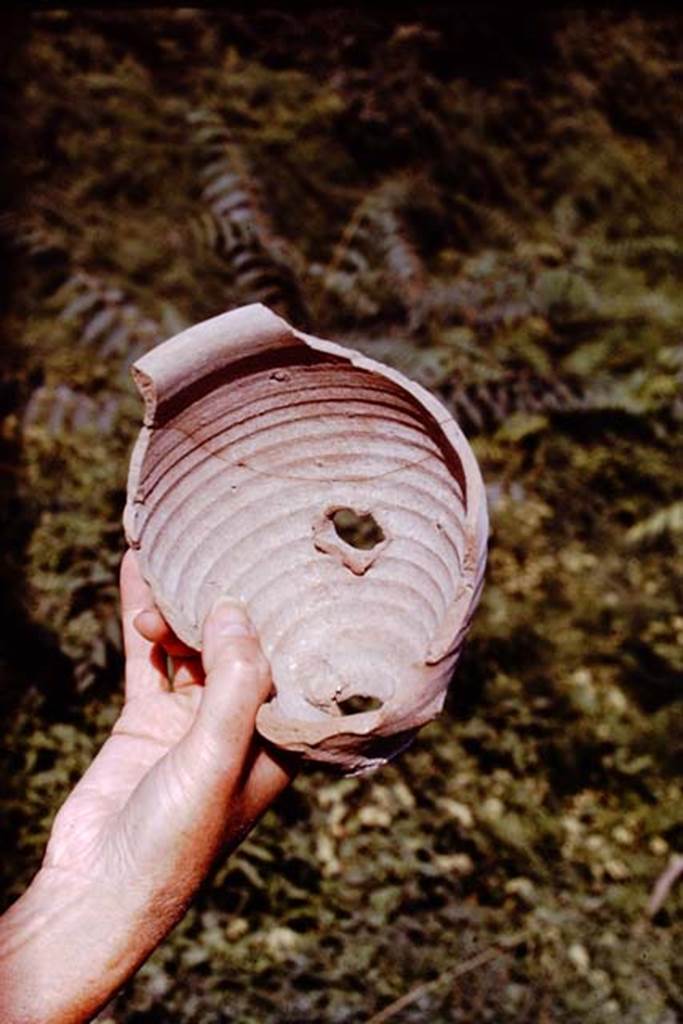 VI.2.4 Pompeii. 1970.  Broken flower-pot found by Anne Laidlaw in the Bourbon fill during the 1969-71 excavations.  Photo by Stanley A. Jashemski.
Source: The Wilhelmina and Stanley A. Jashemski archive in the University of Maryland Library, Special Collections (See collection page) and made available under the Creative Commons Attribution-Non Commercial License v.4. See Licence and use details.
J70f0600