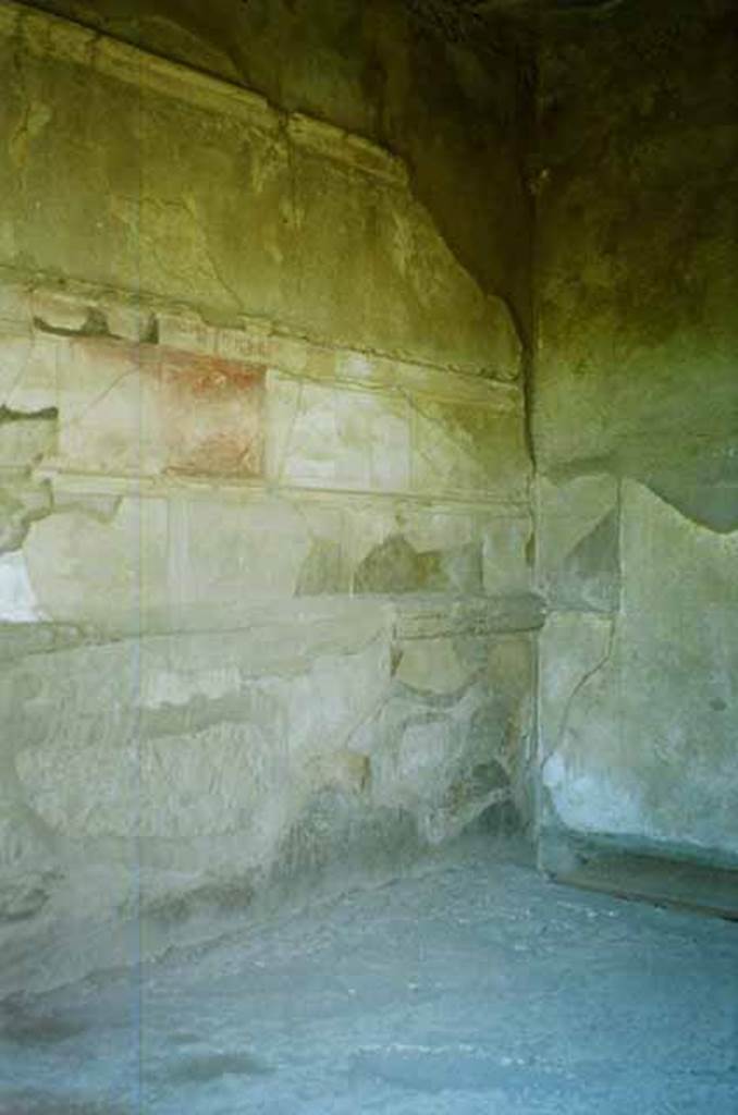 VI.2.4 Pompeii. June 2010. 
South wall at west end of oecus on north side of tablinum near to the summer triclinium. 
Photo courtesy of Rick Bauer.