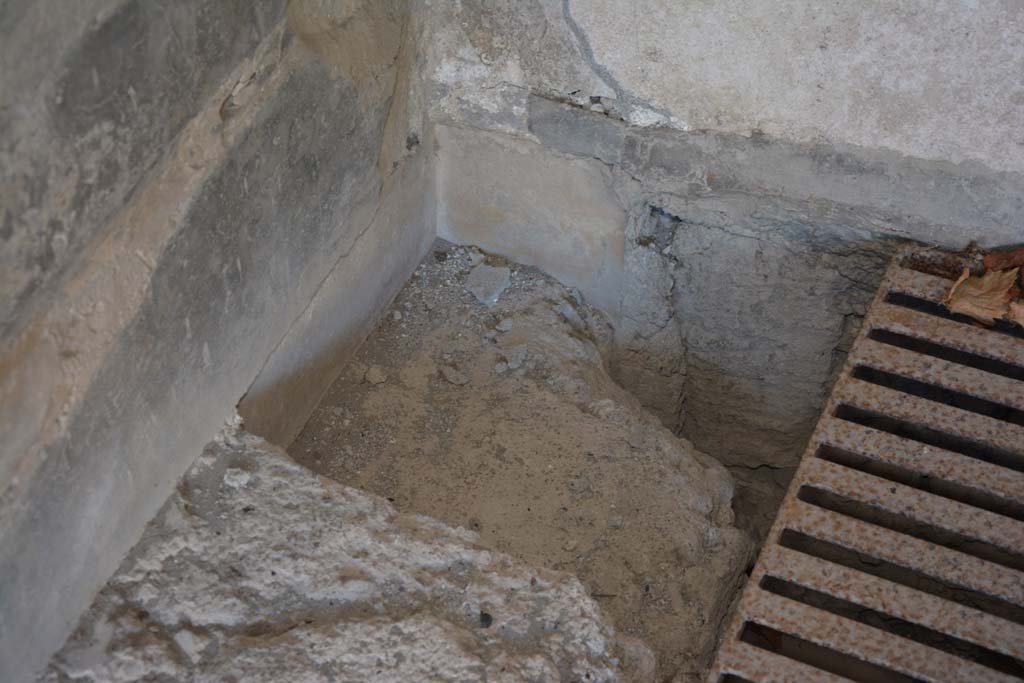 VI.2.4 Pompeii. December 2017. Detail from south-west corner in oecus.
Foto Annette Haug, ERC Grant 681269 DÉCOR